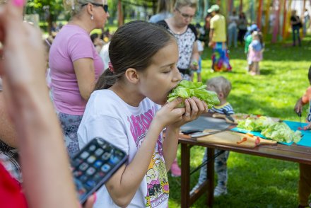 Dni Wisły, dzień trzeci